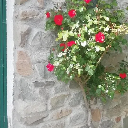 Lägenhet La Casa Nel Bosco