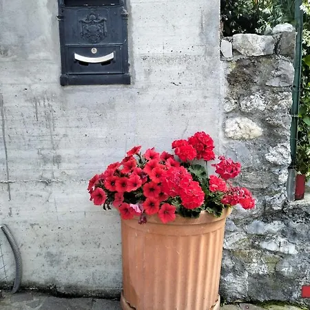 La Casa Nel Bosco Apartment *