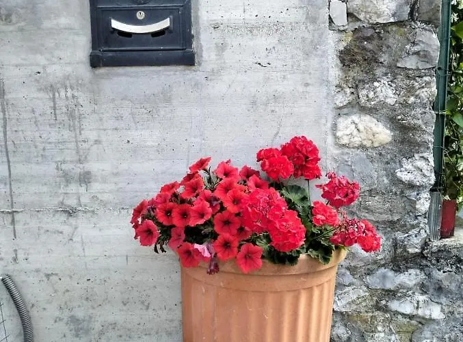 La Casa Nel Bosco Apartman *