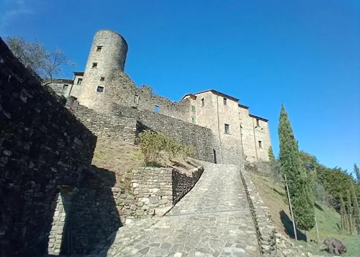 La Casa Nel Bosco *